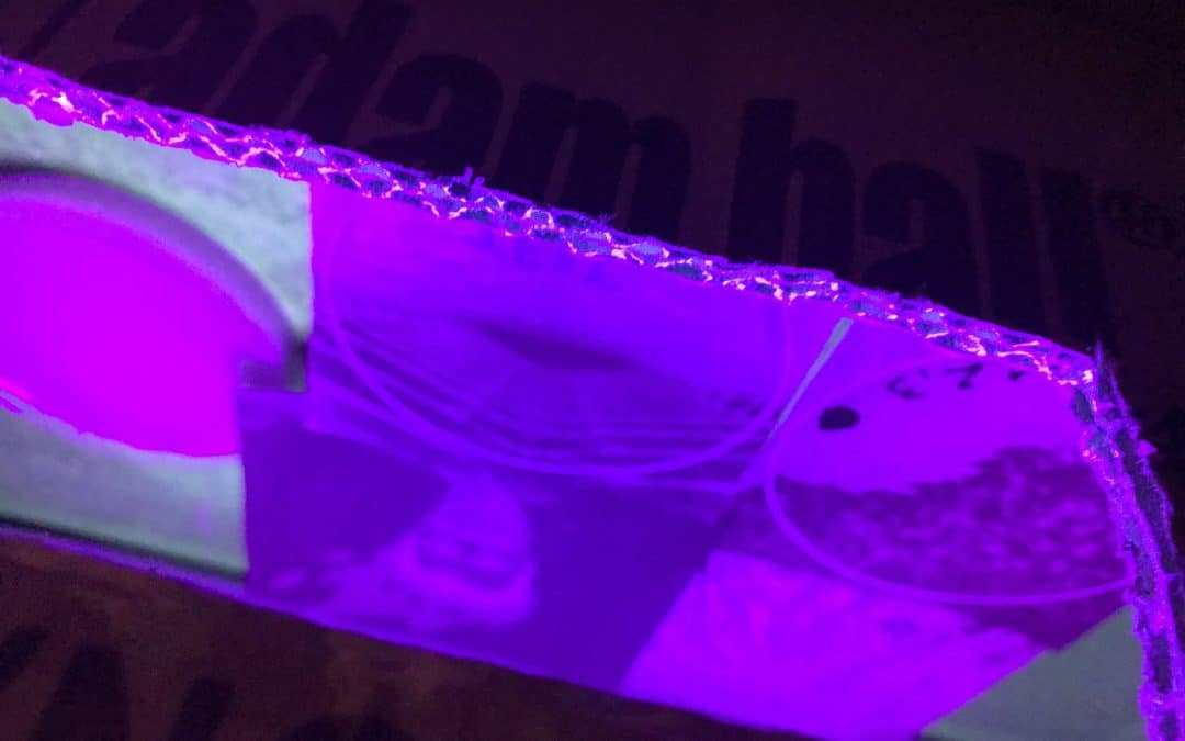 [konS] Razstava Rojstvo in smrt mikrokozmosa