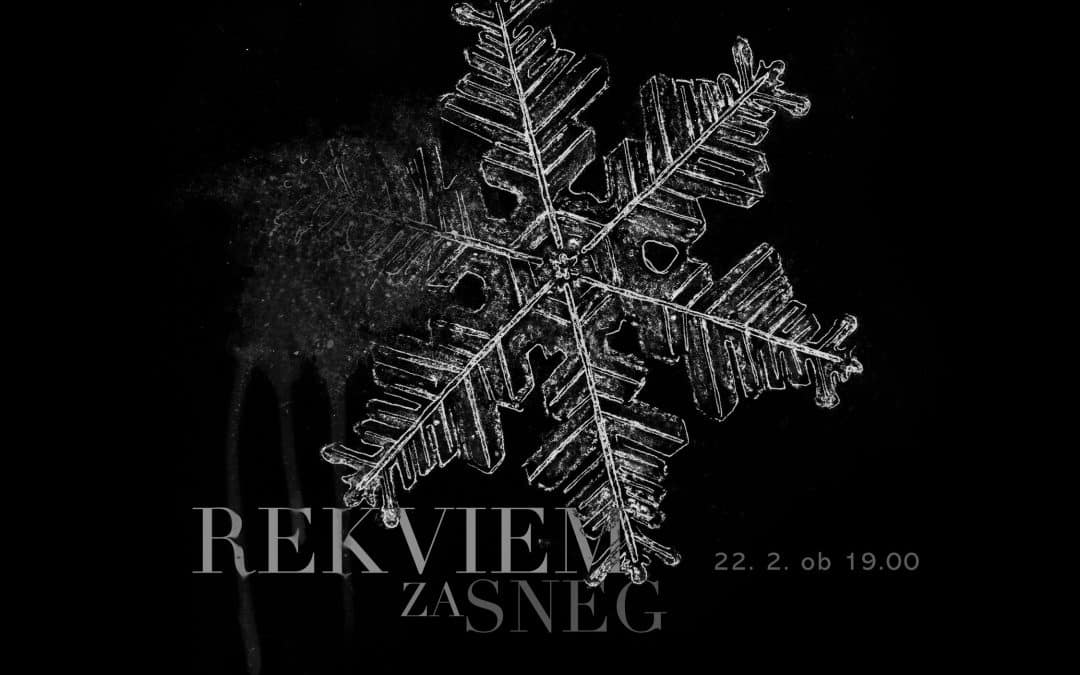 Predstavitev zbirke Rekviem za sneg