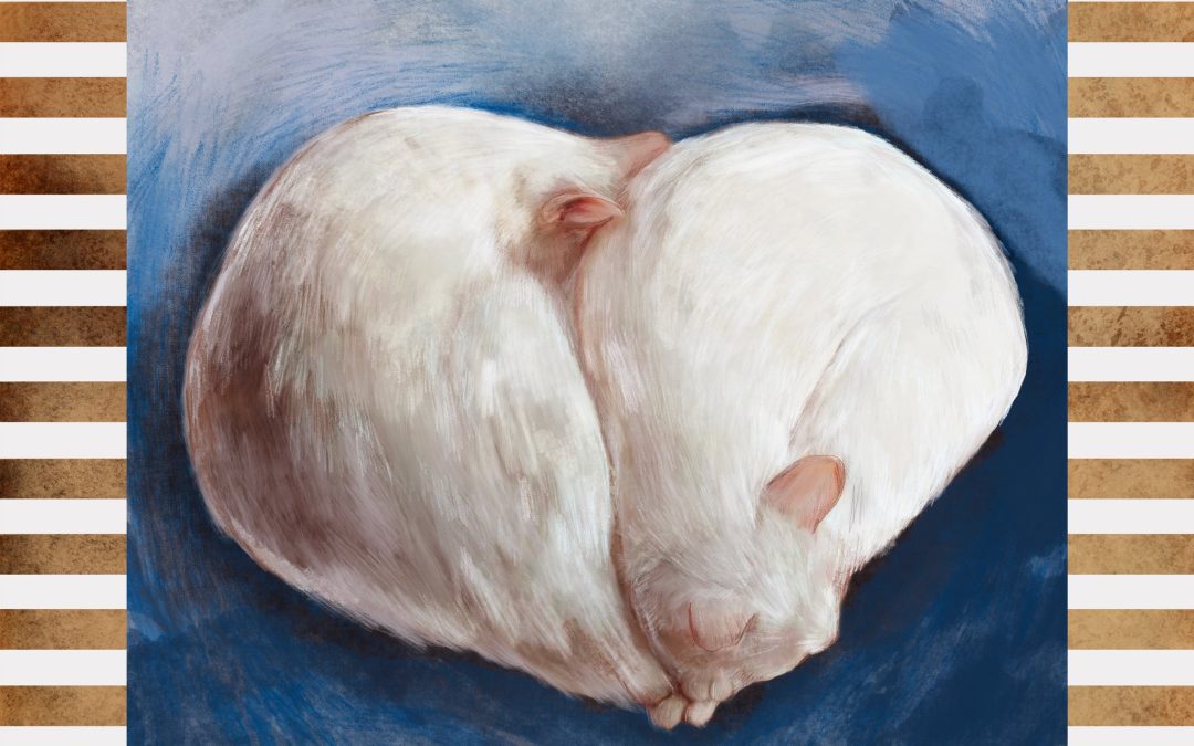 Razstava ilustracij Nee Likar