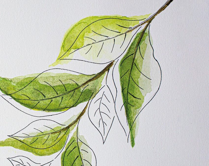 Ožuljeni jezik s Tonjo Jelen