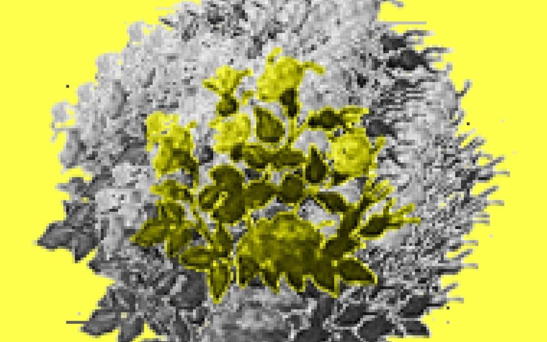 [Galerija Media Nox] Vabljeni mladi 2024