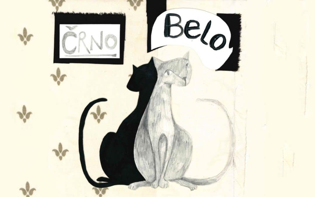 Črno belo (Žiga X Gombač) – lutkovna predstava 3+