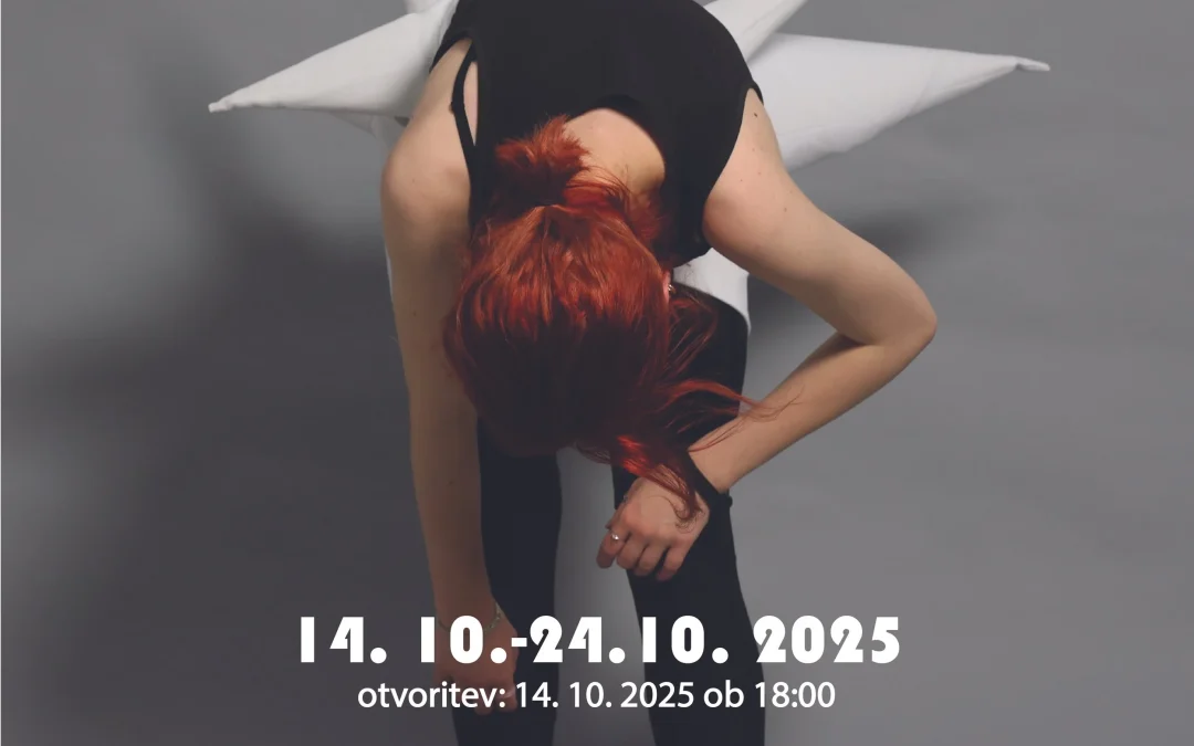 [Kulturni inkubator] Razstava: Izklesana
