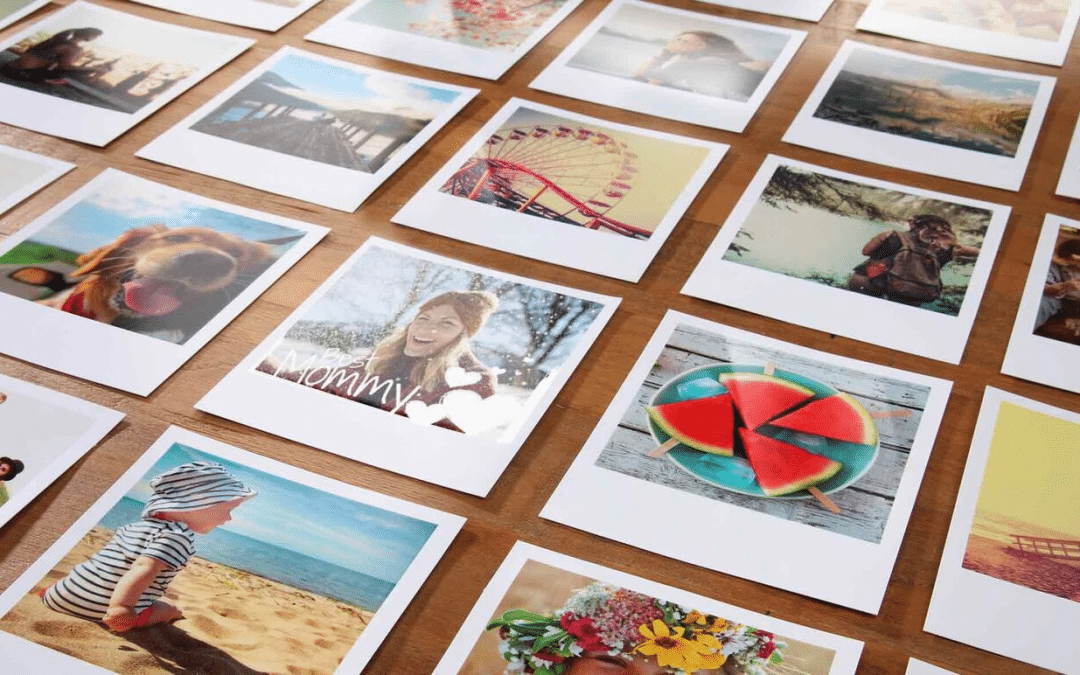 LETNO POROČILO V FOTOGRAFIJAH