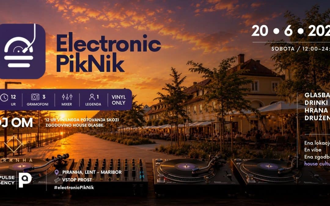Electronic PikNik