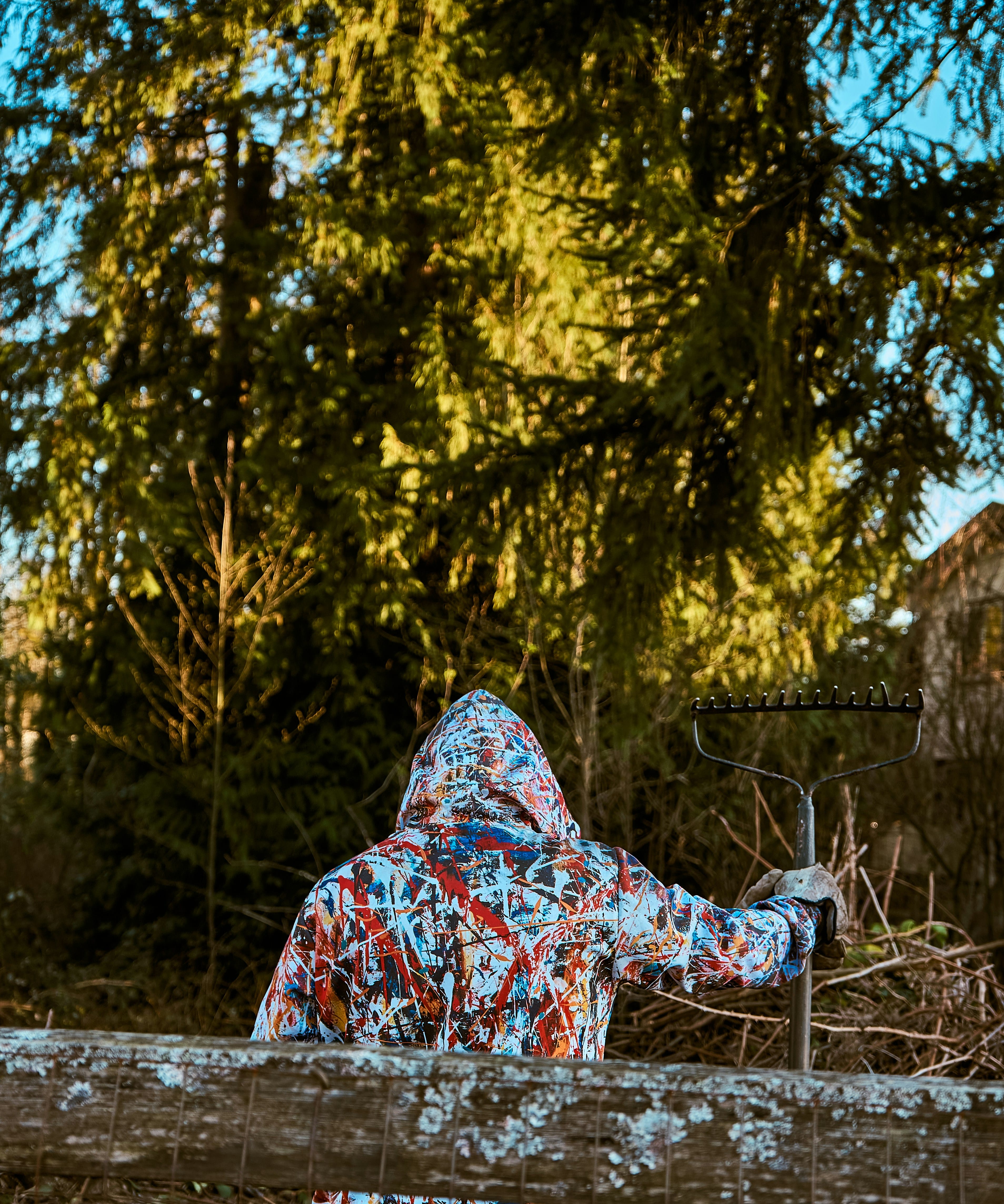 jonathan-majam-N5wlZCzgF9o-unsplash
