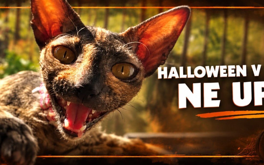 HALLOWEEN